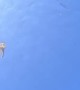 Jellyfish Spins in Diver's Bubble Ring