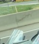 You Never Know Who You Might See Driving Down the Highway