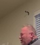 Husband Test's Out Dog's Shock Collar