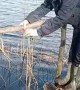 Unsuccessful Jump Over a Bridge on the River