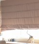 Clumsy Cat's Failed Jump