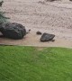 Wow That's a River
