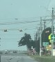 Sheriff's Deputy Chases Runaway Mini Pony
