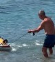 Dachshund Goes Surfing