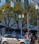 Cyclist Stops a Range Rover Trying Drive Through a Protest