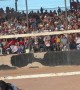 Rodeo Tug of War