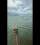 Fred and His Dolphin Friend