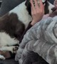 Phoebe the Screen Time Police