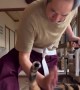 Calico Cat Interrupts Samurai Sword Training