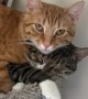 Simba Likes Willow's Personal Space
