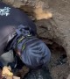 New Guy Unclogs a Drain Pipe