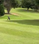 Runaway Golf Trolley