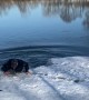 Man Tests Ice and Falls In